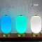 Glomarket Tuya Wifi چاپ سه بعدی چراغ فانوس هوشمند 16 میلیون رنگ تنظیم روشن