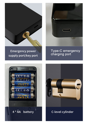 گلومارکت تویا TTlock اثر انگشت رمز عبور دیجیتالی آپارتمان اتاق خانه Cerraduras Inteligentes امنیت قفل درب چوبی هوشمند